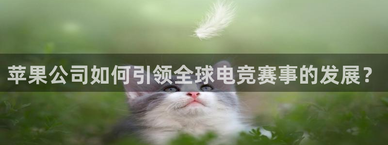 一竞技网址